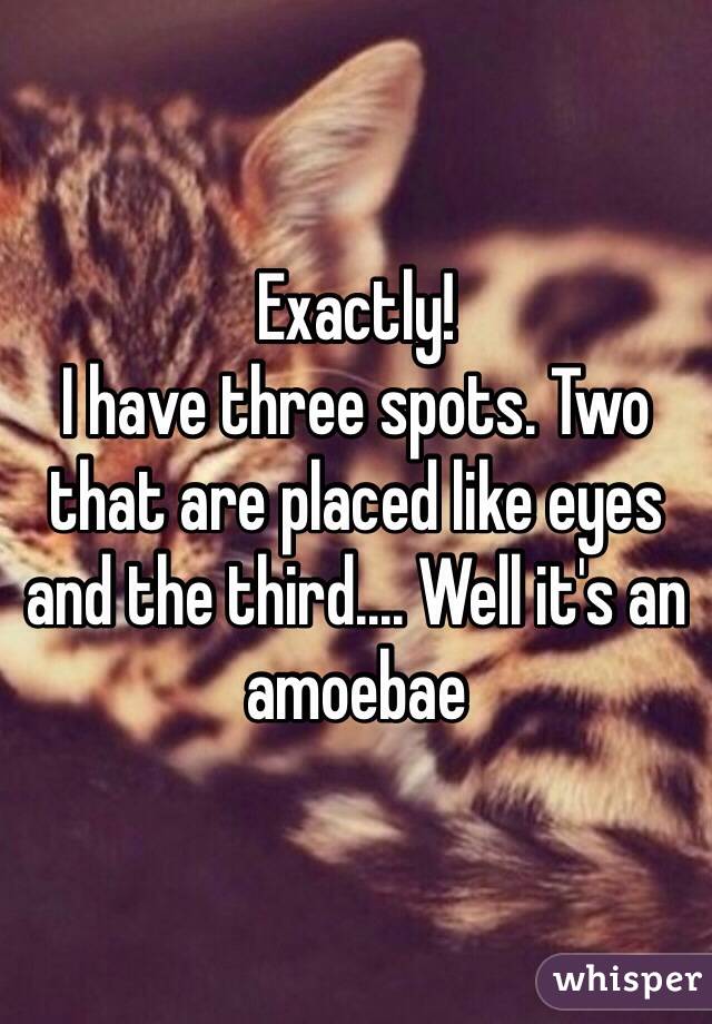 Exactly!
I have three spots. Two that are placed like eyes and the third.... Well it's an amoebae 