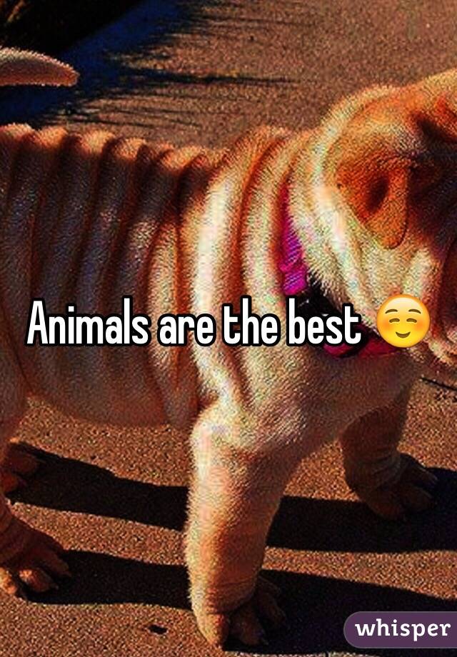 Animals are the best ☺️