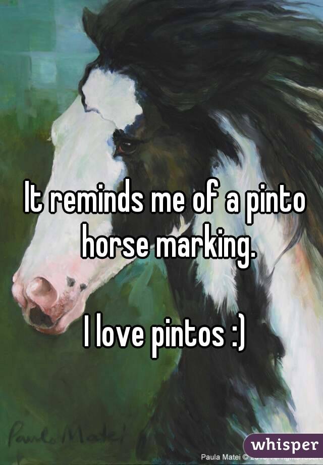 It reminds me of a pinto horse marking.

I love pintos :)