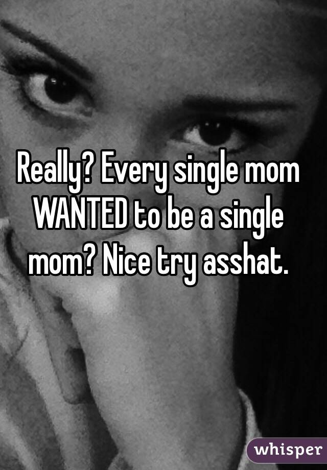 Really? Every single mom WANTED to be a single mom? Nice try asshat.