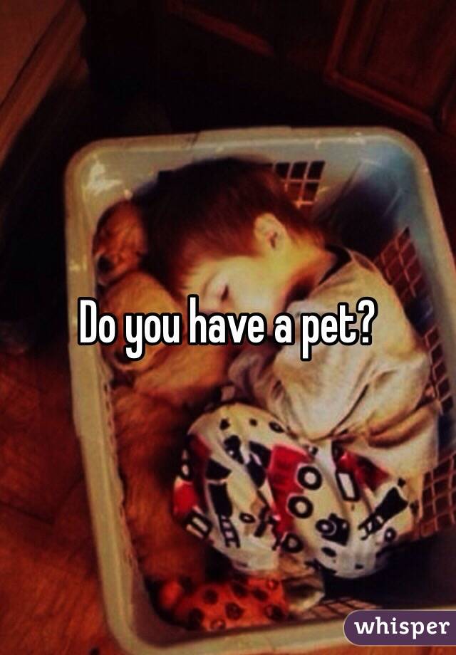 Do you have a pet?