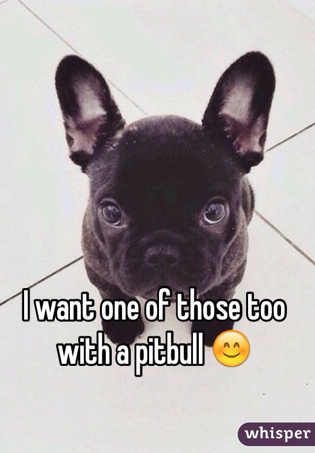 I want one of those too with a pitbull 😊