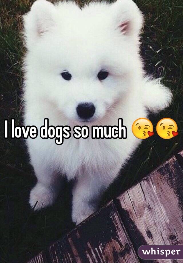 I love dogs so much 😘😘