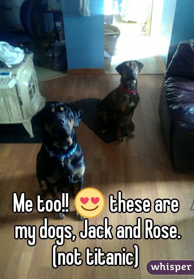 Me too!! 😍 these are my dogs, Jack and Rose.
(not titanic)
