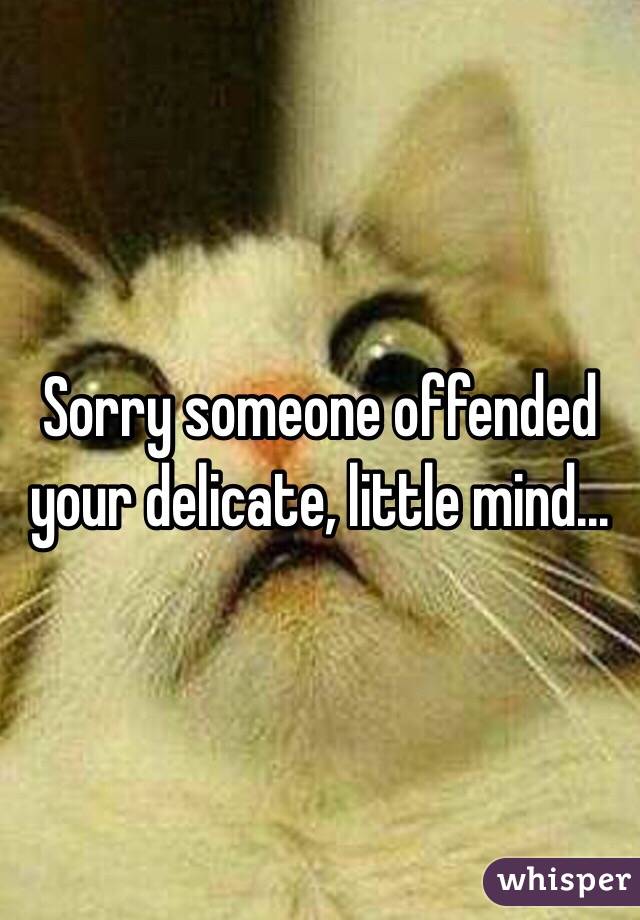 Sorry someone offended your delicate, little mind...