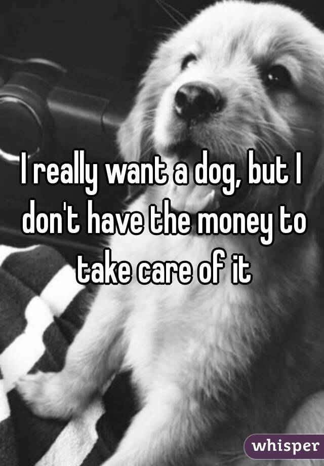 I really want a dog, but I don't have the money to take care of it