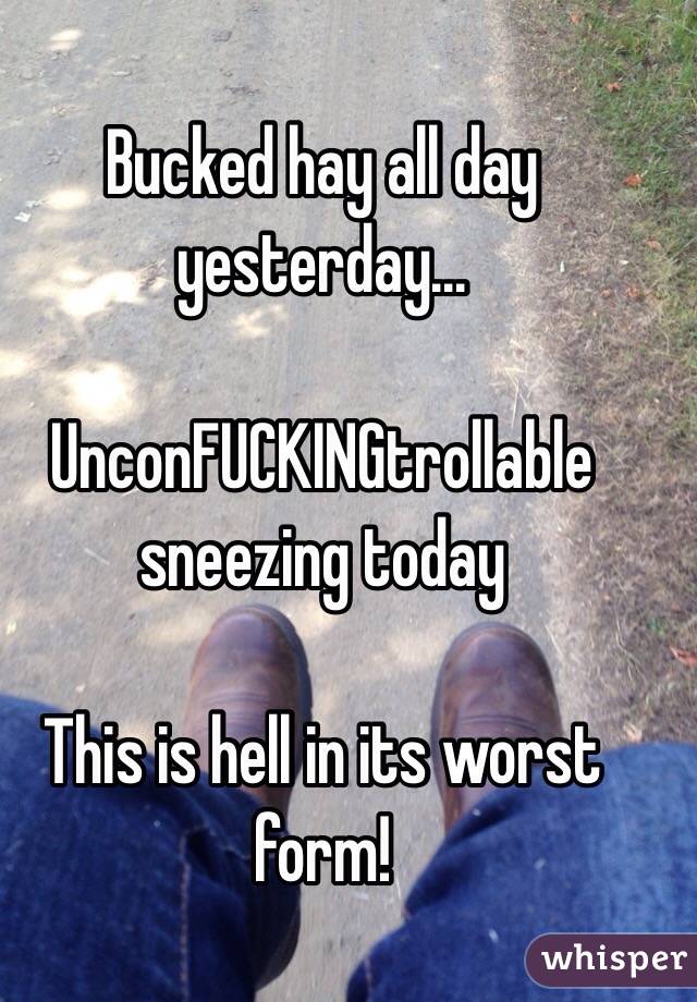 Bucked hay all day yesterday...

UnconFUCKINGtrollable sneezing today

This is hell in its worst form!