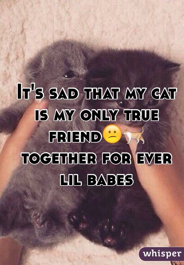 It's sad that my cat is my only true friend😕🐈 together for ever lil babes 