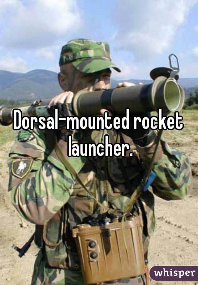 Dorsal-mounted rocket launcher.