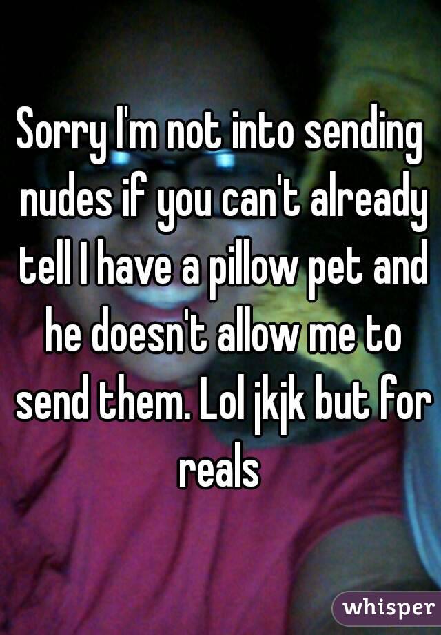 Sorry I'm not into sending nudes if you can't already tell I have a pillow pet and he doesn't allow me to send them. Lol jkjk but for reals 