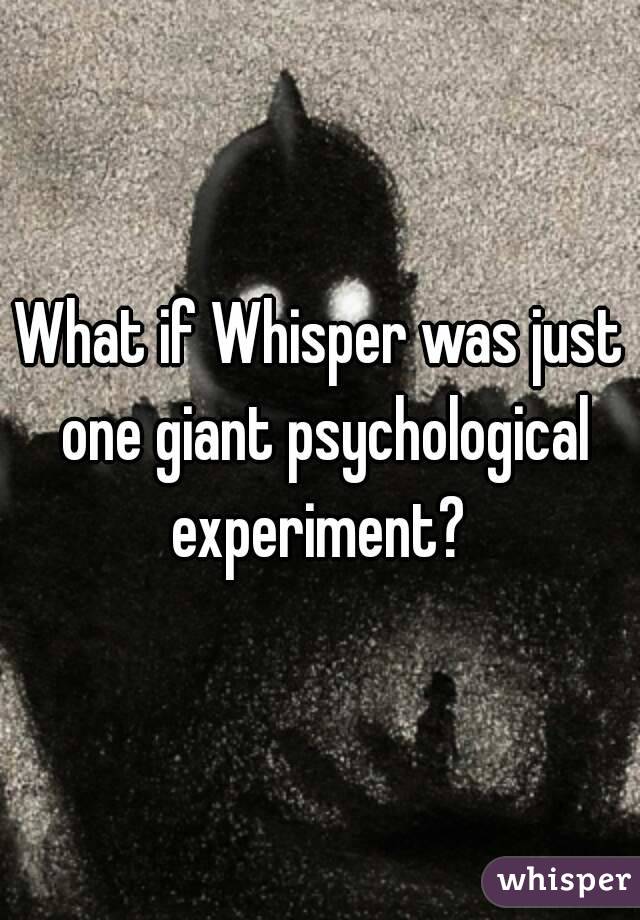 What if Whisper was just one giant psychological experiment? 