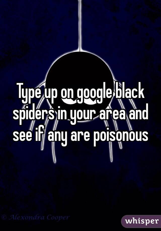 Type up on google black spiders in your area and see if any are poisonous 