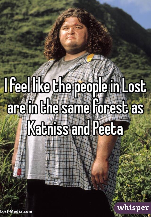 I feel like the people in Lost are in the same forest as Katniss and Peeta 