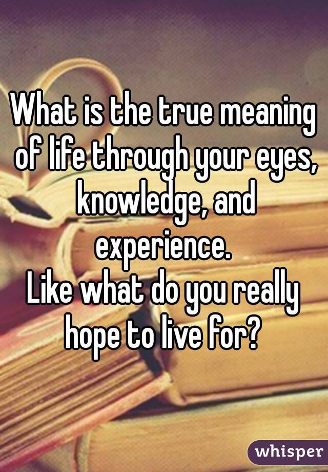 What is the true meaning of life through your eyes, knowledge, and experience. 
Like what do you really hope to live for? 