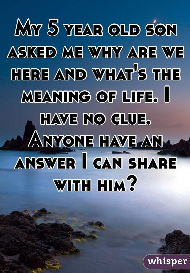 My 5 year old son asked me why are we here and what's the meaning of life. I have no clue. Anyone have an answer I can share with him? 