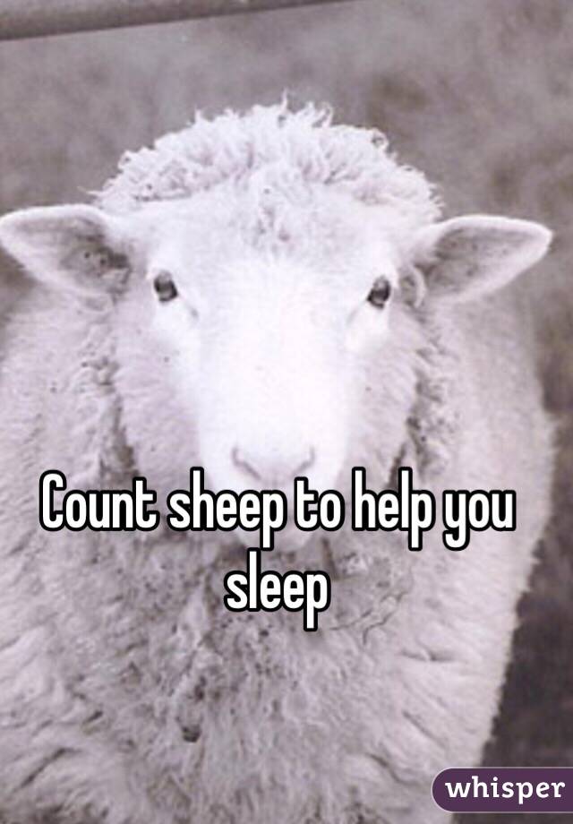 Count sheep to help you sleep