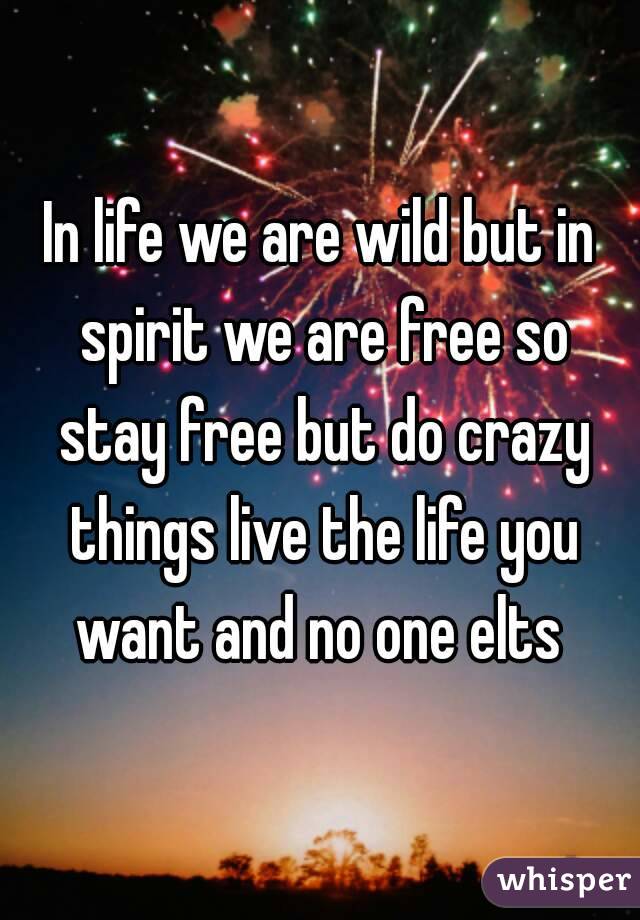 In life we are wild but in spirit we are free so stay free but do crazy things live the life you want and no one elts 