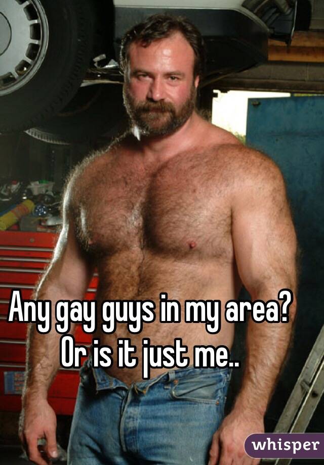 Any gay guys in my area? 
Or is it just me..