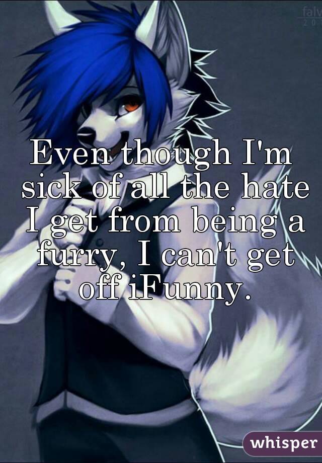 Even though I'm sick of all the hate I get from being a furry, I can't get off iFunny.