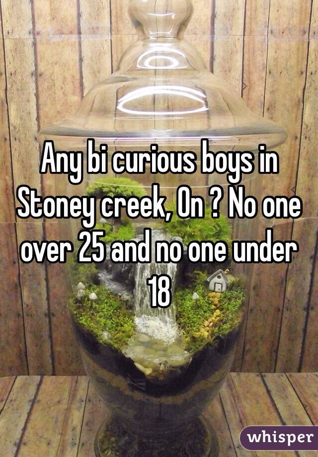 Any bi curious boys in Stoney creek, On ? No one over 25 and no one under 18