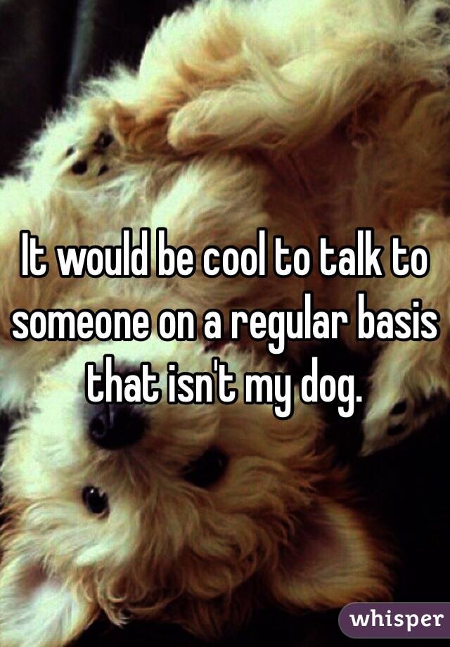 It would be cool to talk to someone on a regular basis that isn't my dog. 