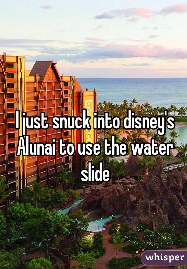 I just snuck into disney's Alunai to use the water slide