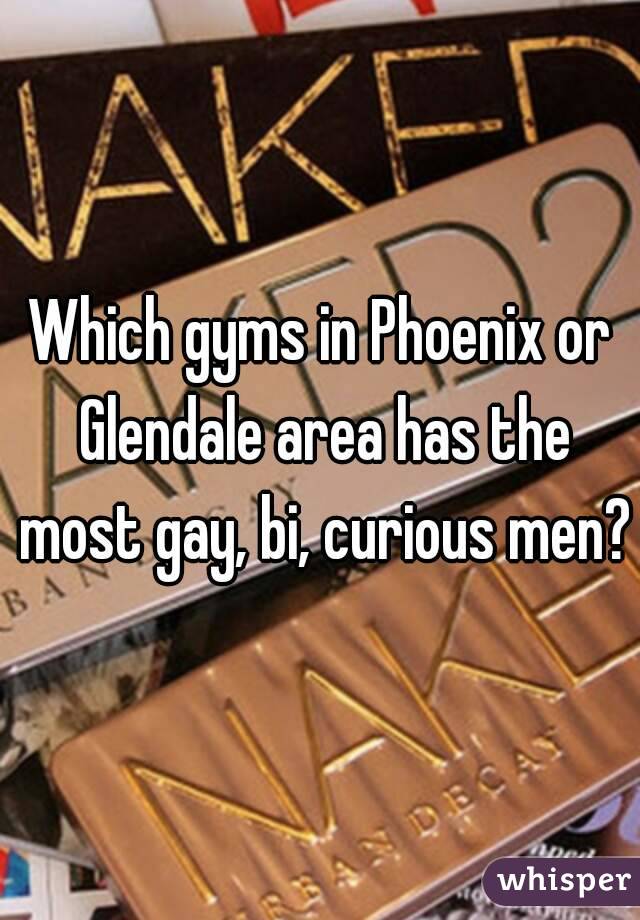 Which gyms in Phoenix or Glendale area has the most gay, bi, curious men?