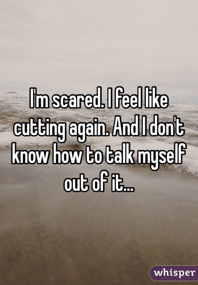 I'm scared. I feel like cutting again. And I don't know how to talk myself out of it...