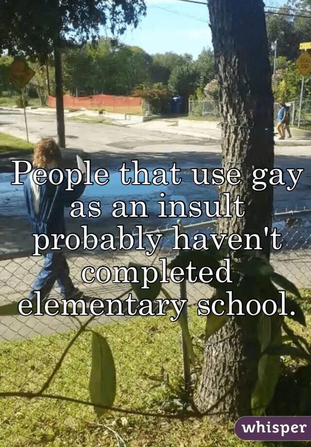 People that use gay as an insult probably haven't completed elementary school.