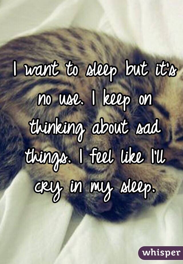 I want to sleep but it's no use. I keep on thinking about sad things. I feel like I'll cry in my sleep. 