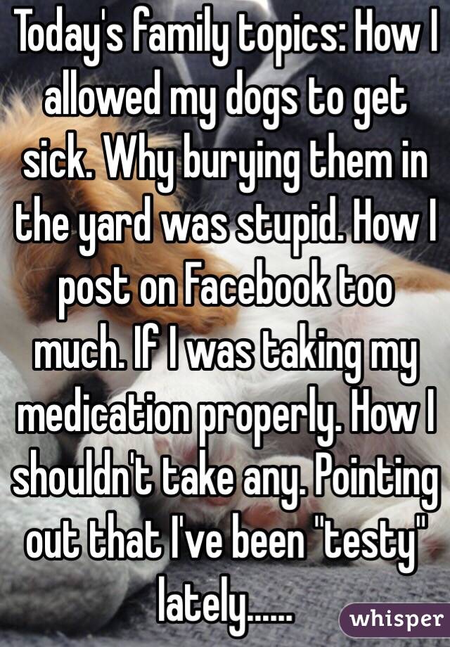 Today's family topics: How I allowed my dogs to get sick. Why burying them in the yard was stupid. How I post on Facebook too much. If I was taking my medication properly. How I shouldn't take any. Pointing out that I've been "testy" lately......