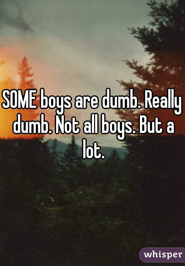 SOME boys are dumb. Really dumb. Not all boys. But a lot.