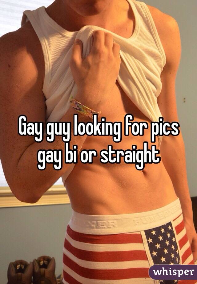 Gay guy looking for pics gay bi or straight 