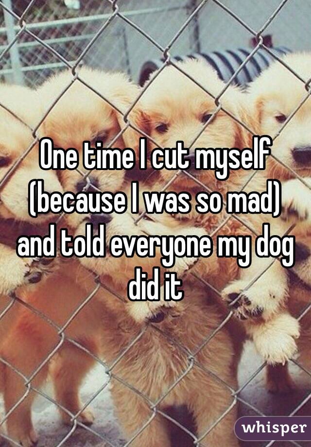 One time I cut myself (because I was so mad) and told everyone my dog did it 