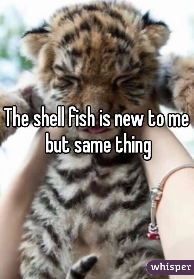 The shell fish is new to me but same thing