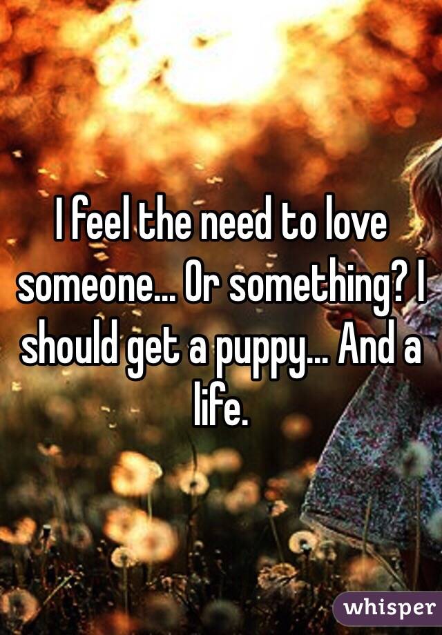 I feel the need to love someone... Or something? I should get a puppy... And a life.