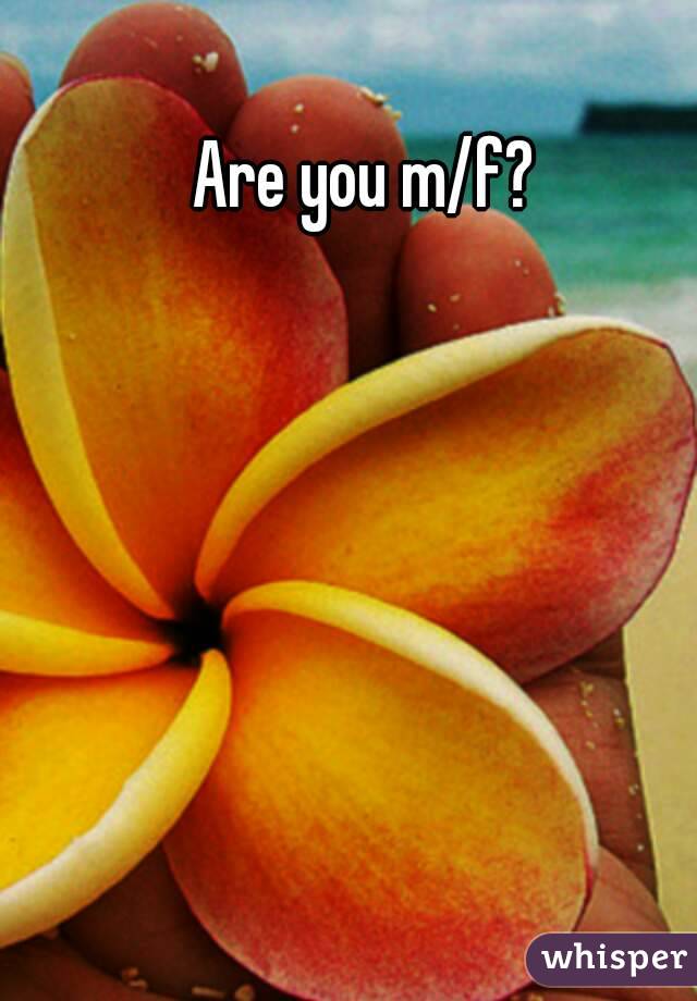 Are you m/f?