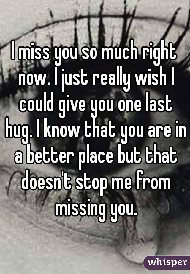 I miss you so much right now. I just really wish I could give you one last hug. I know that you are in a better place but that doesn't stop me from missing you.