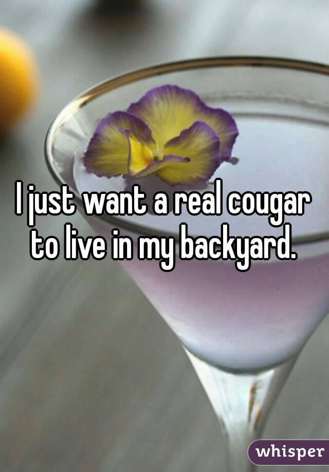 I just want a real cougar to live in my backyard. 