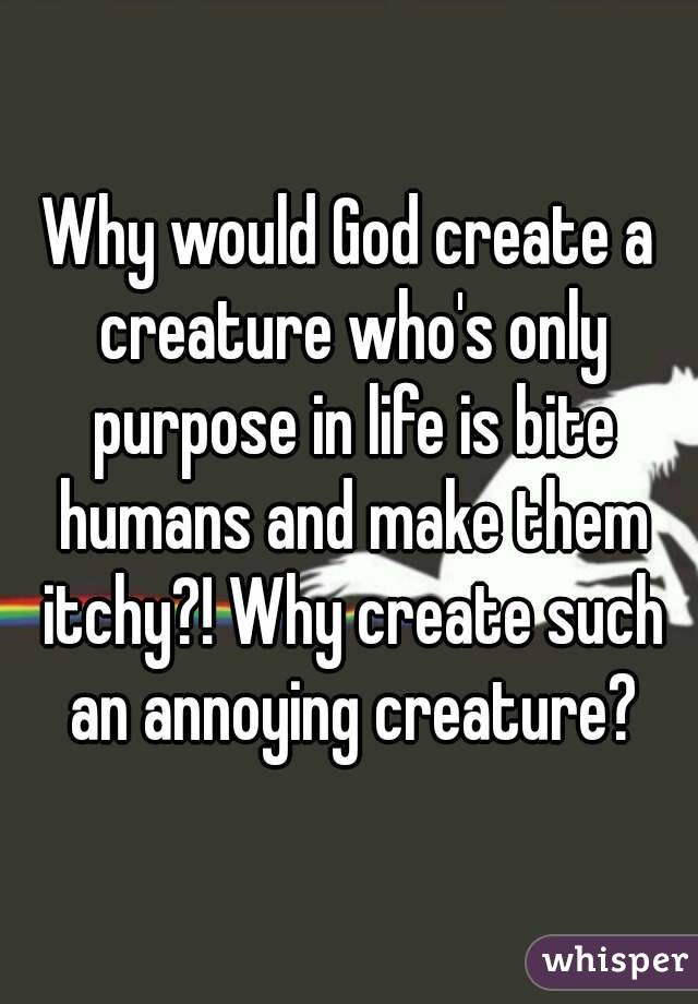 Why would God create a creature who's only purpose in life is bite humans and make them itchy?! Why create such an annoying creature?