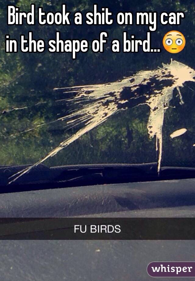 Bird took a shit on my car in the shape of a bird...😳