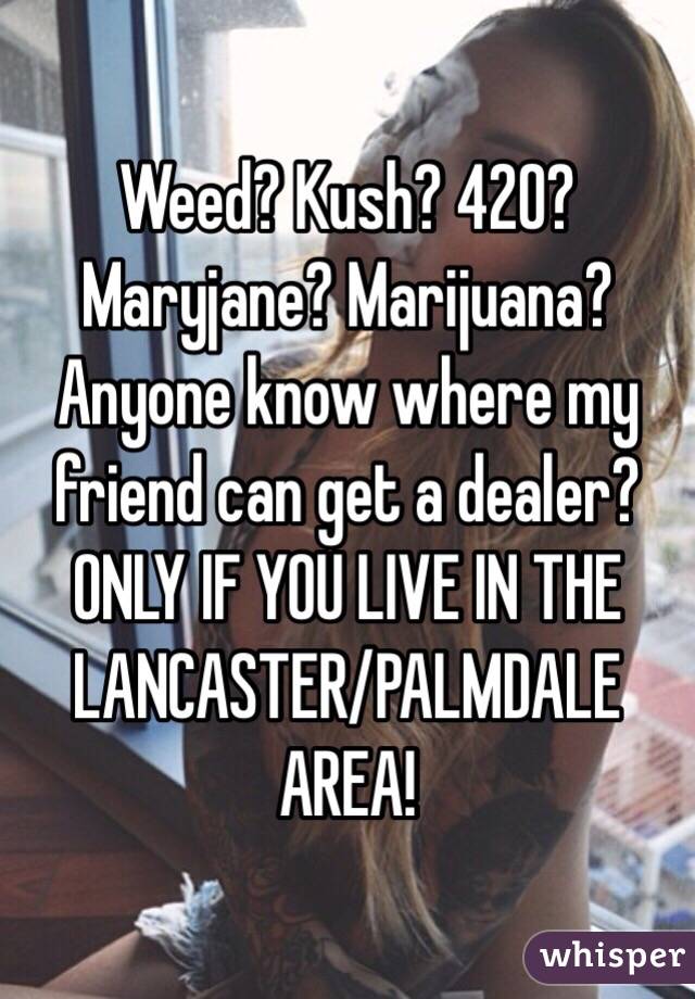 Weed? Kush? 420? Maryjane? Marijuana? Anyone know where my friend can get a dealer? ONLY IF YOU LIVE IN THE LANCASTER/PALMDALE AREA! 