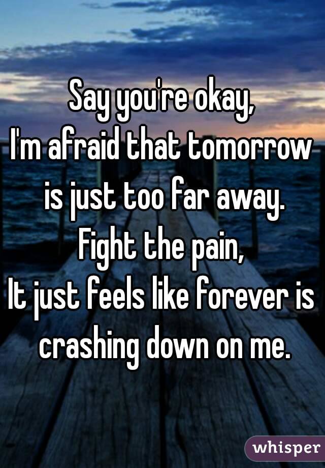 Say you're okay,
I'm afraid that tomorrow is just too far away.
Fight the pain,
It just feels like forever is crashing down on me.