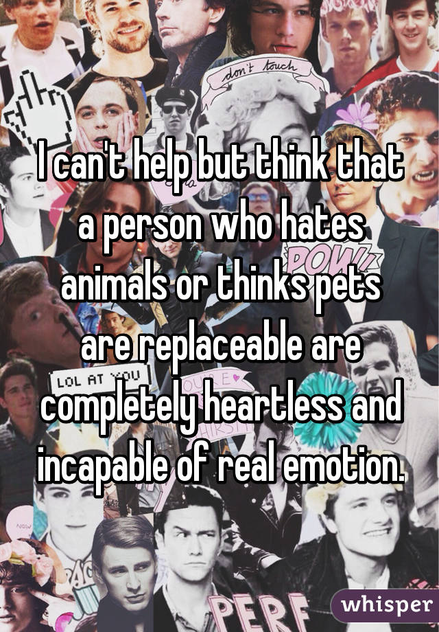 I can't help but think that a person who hates animals or thinks pets are replaceable are completely heartless and incapable of real emotion.