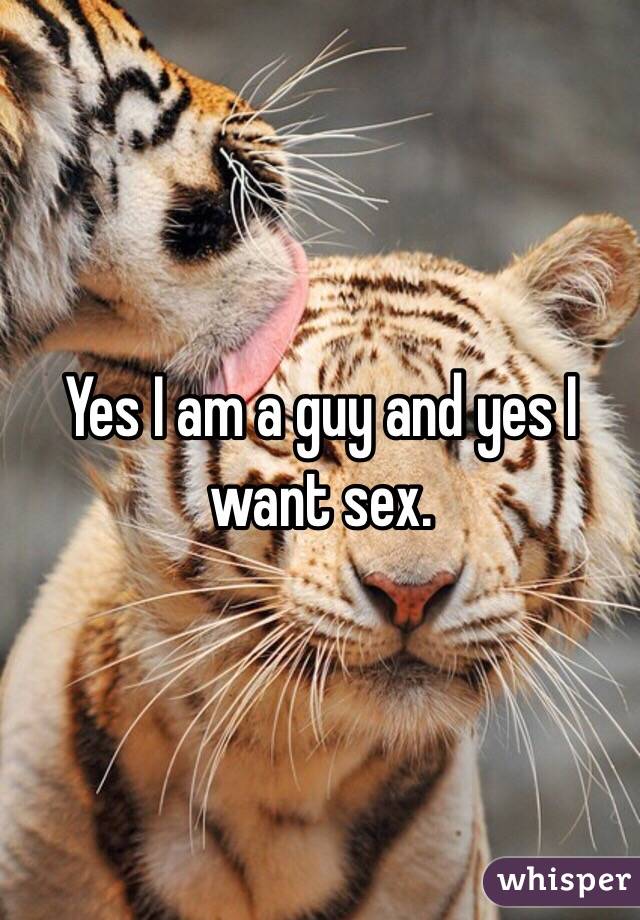 Yes I am a guy and yes I want sex. 