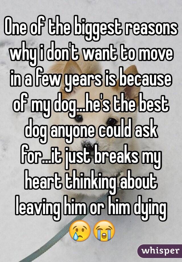 One of the biggest reasons why i don't want to move in a few years is because of my dog...he's the best dog anyone could ask for...it just breaks my heart thinking about leaving him or him dying 😢😭