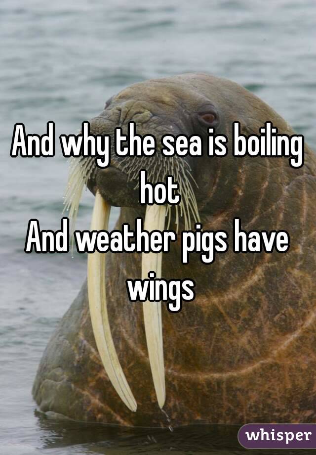 And why the sea is boiling hot
And weather pigs have wings