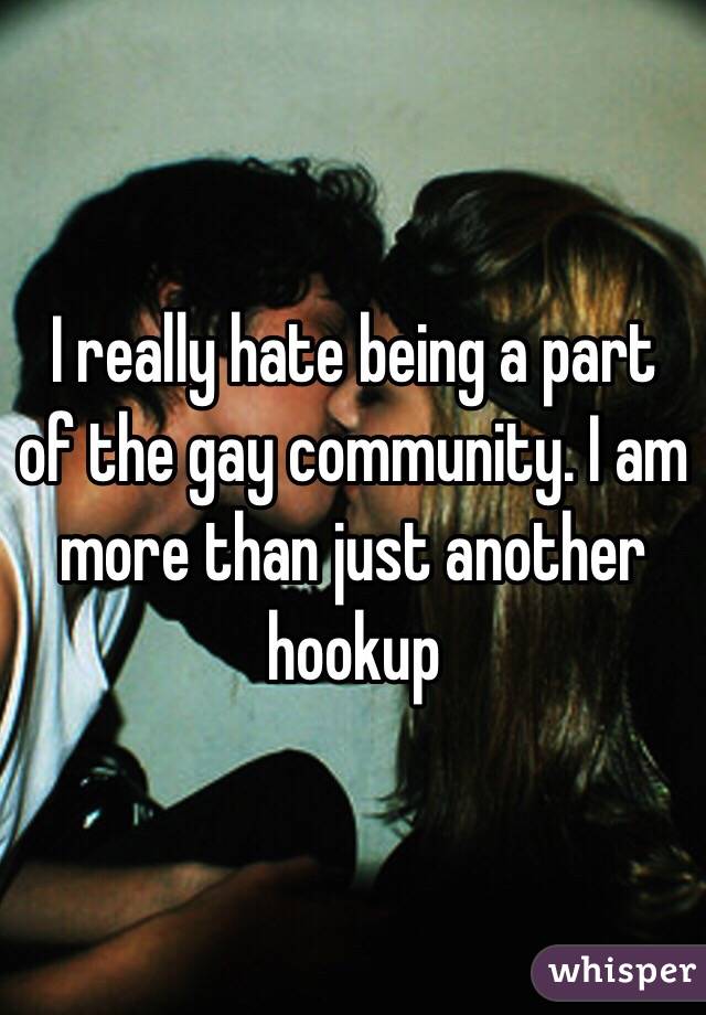 I really hate being a part of the gay community. I am more than just another hookup