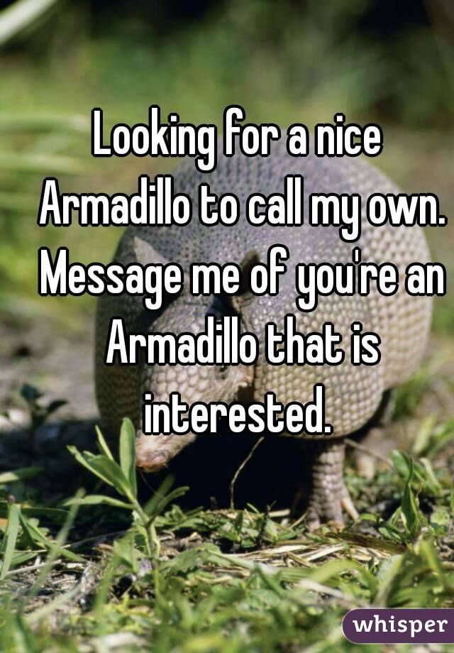 Looking for a nice Armadillo to call my own. Message me of you're an Armadillo that is interested. 