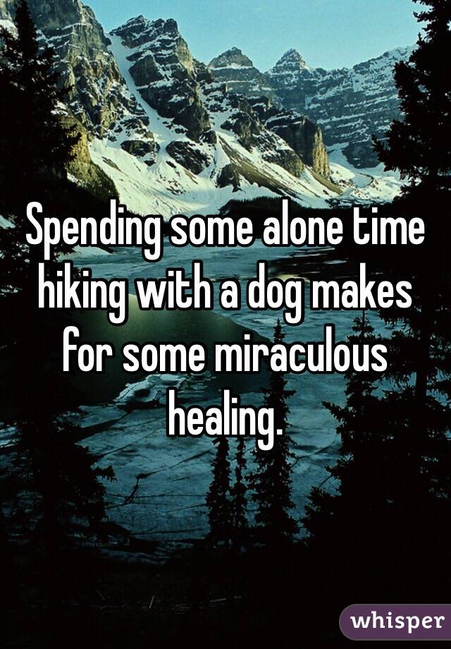 Spending some alone time hiking with a dog makes for some miraculous healing. 